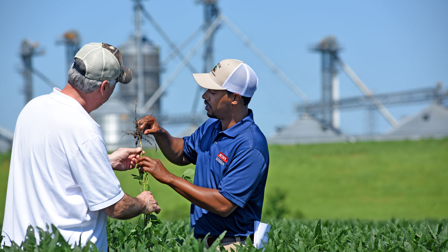 farmer and agent in an agricultural field