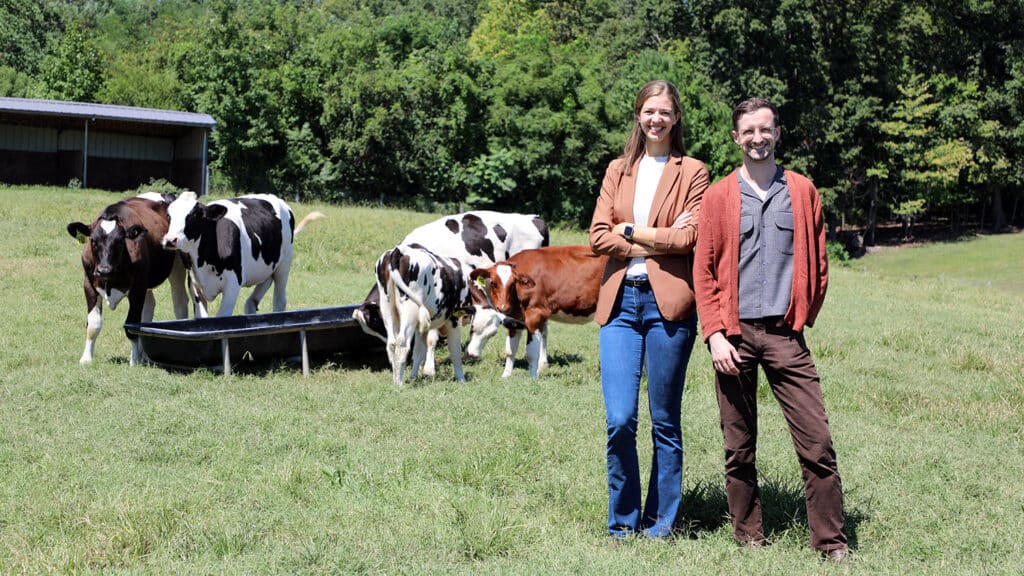 Two people standing in field near cows.