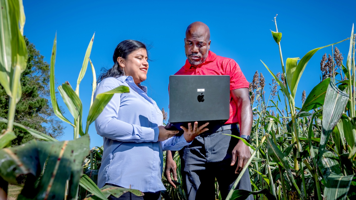Tech in the Corn Field