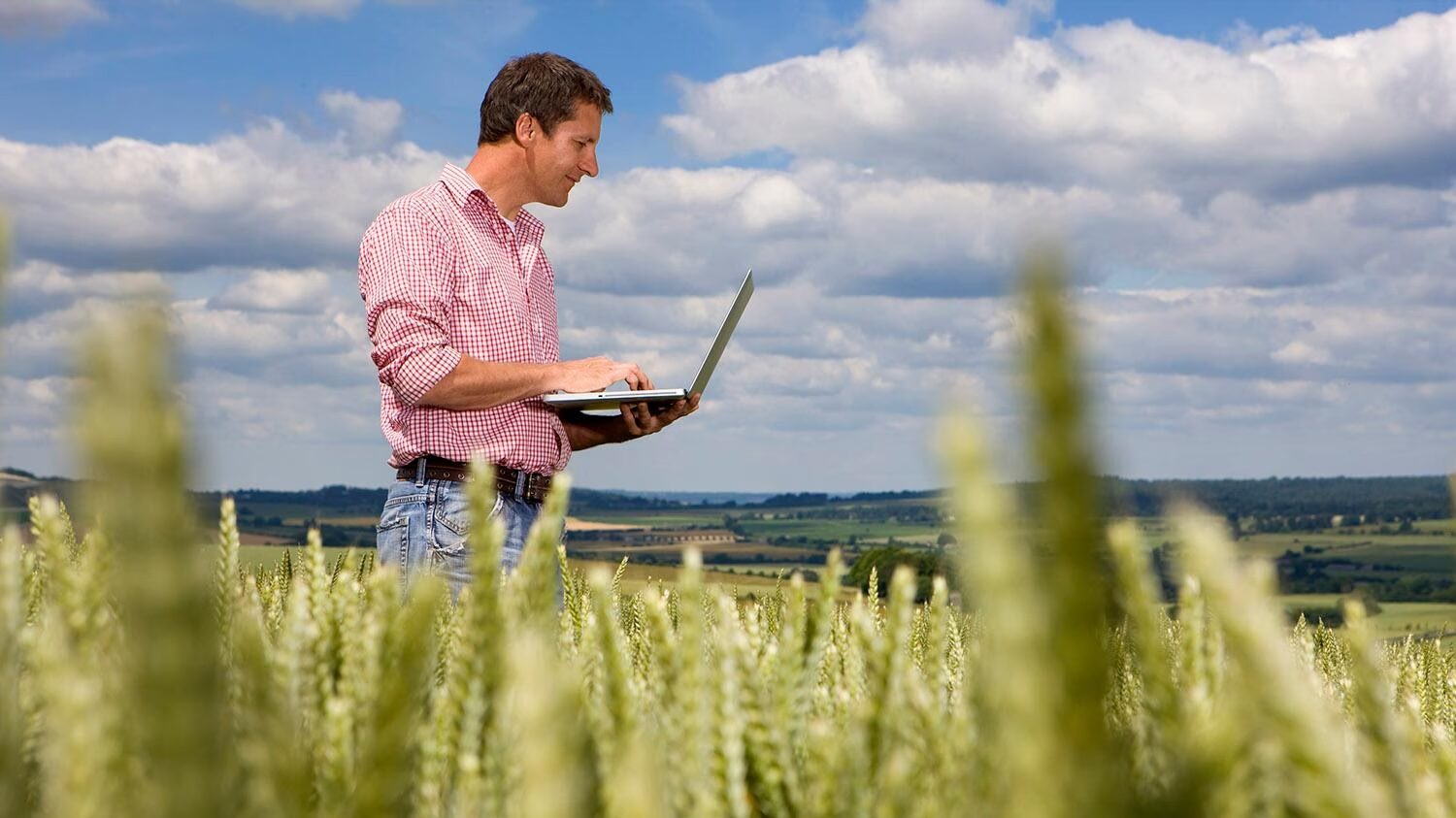 Man with computer in wheat field