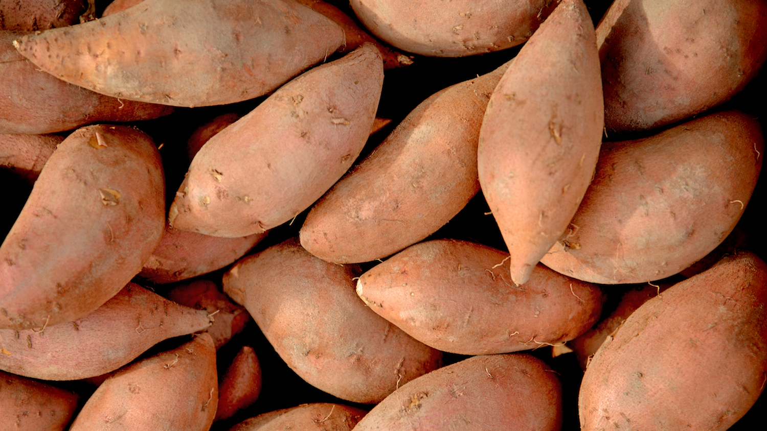 sweet potatoes